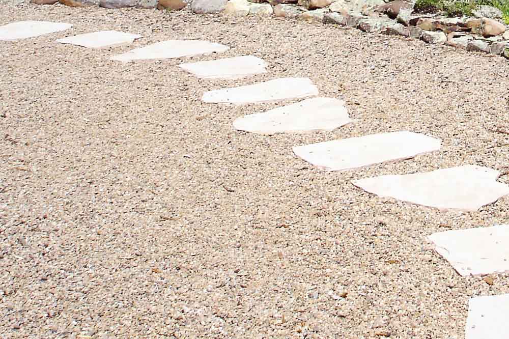 Shrubs & Hedging for sale in Northeast Florida | Tropical Yards St Augustine, FL | Best tropical plants and coquina shell in St Augustine